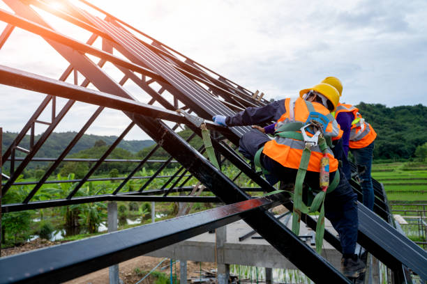 Best Local Roofing Companies  in Schler Park, IL