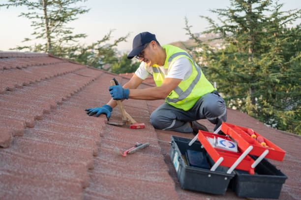 Best Roof Gutter Cleaning  in Schler Park, IL