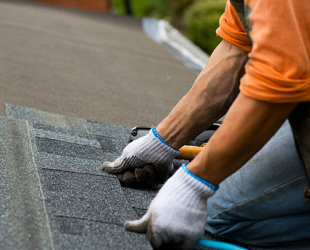 Best Metal Roofing Contractor  in Schler Park, IL