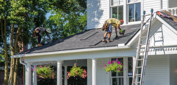 Best Flat Roof Repair Services  in Schler Park, IL