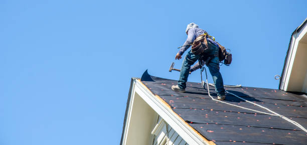 Best Metal Roofing Contractor  in Schler Park, IL